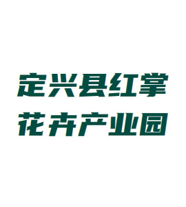 四川定兴县红掌花卉产业园